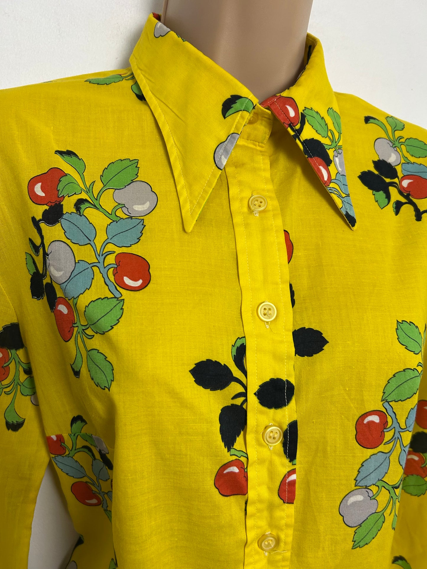 Vintage 1970s Size 12-14 Yellow Red Blue & Green Berry & Leaf Print Dagger Collar Long Sleeve Cotton Shirt