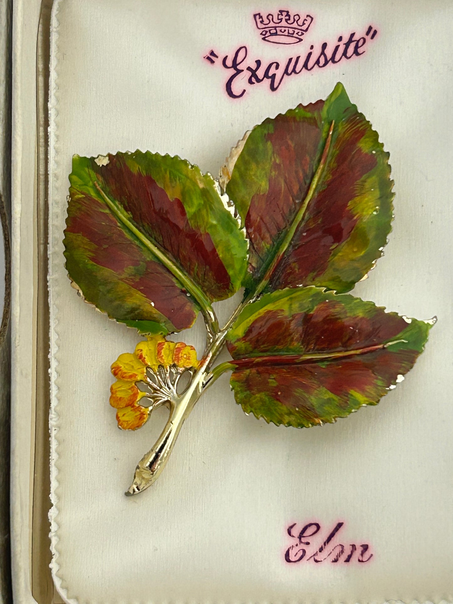 Vintage 1950s EXQUISITE Signed Elm Leaf Enamelled Large Brooch In Original Box