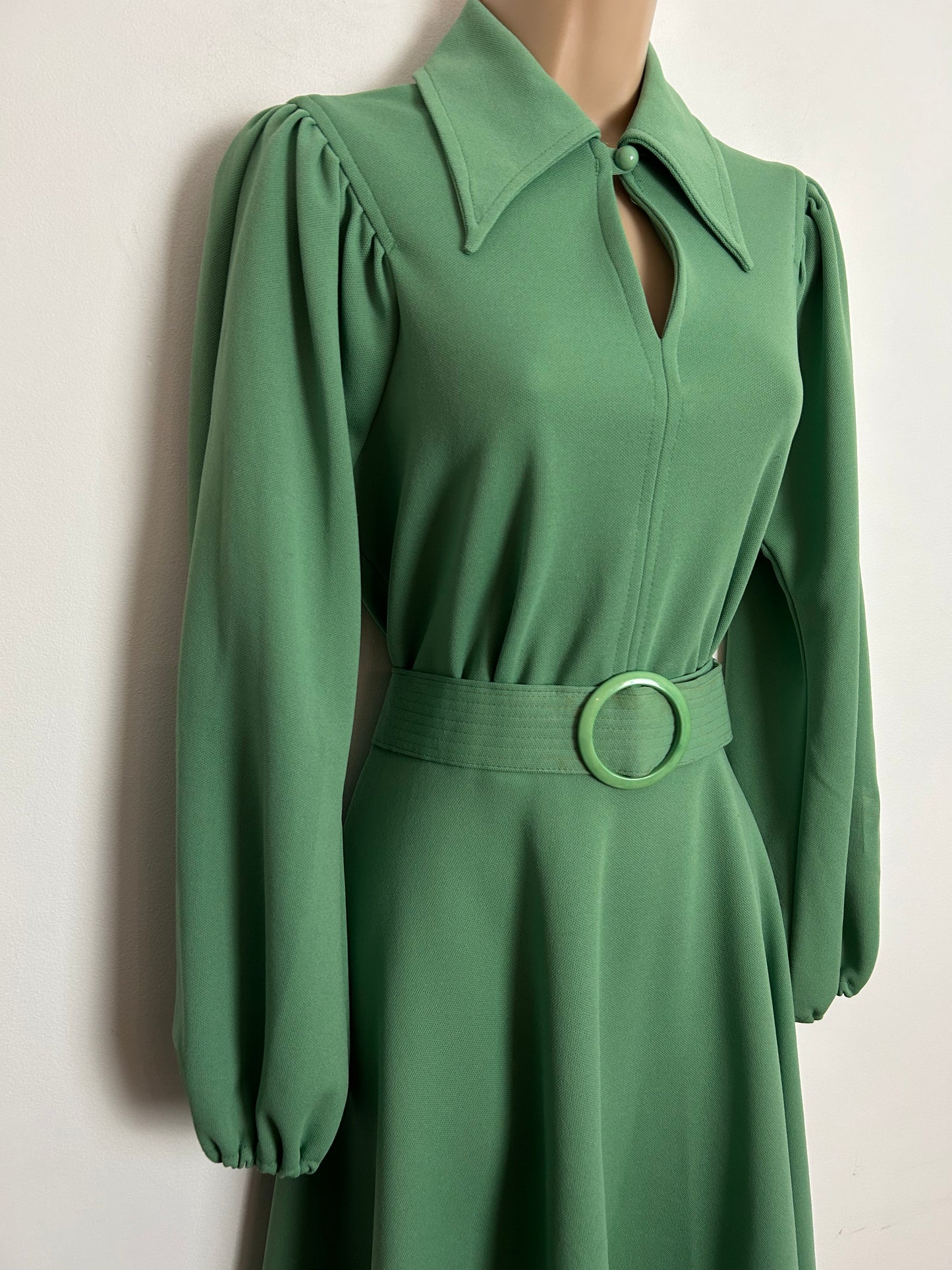 Vintage 1970s UK Size 12 Green Dagger Collar Long Sleeve Belted Fit & Flare Day Dress