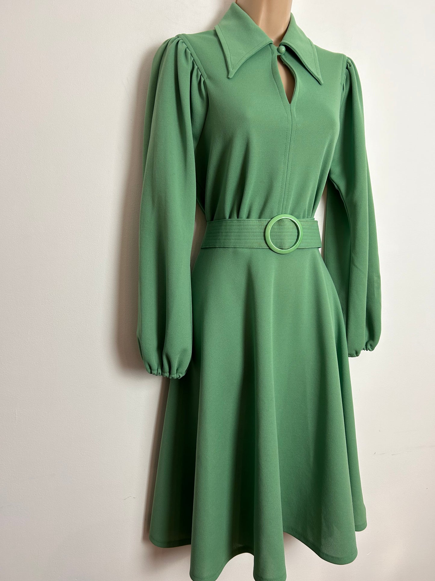 Vintage 1970s UK Size 12 Green Dagger Collar Long Sleeve Belted Fit & Flare Day Dress