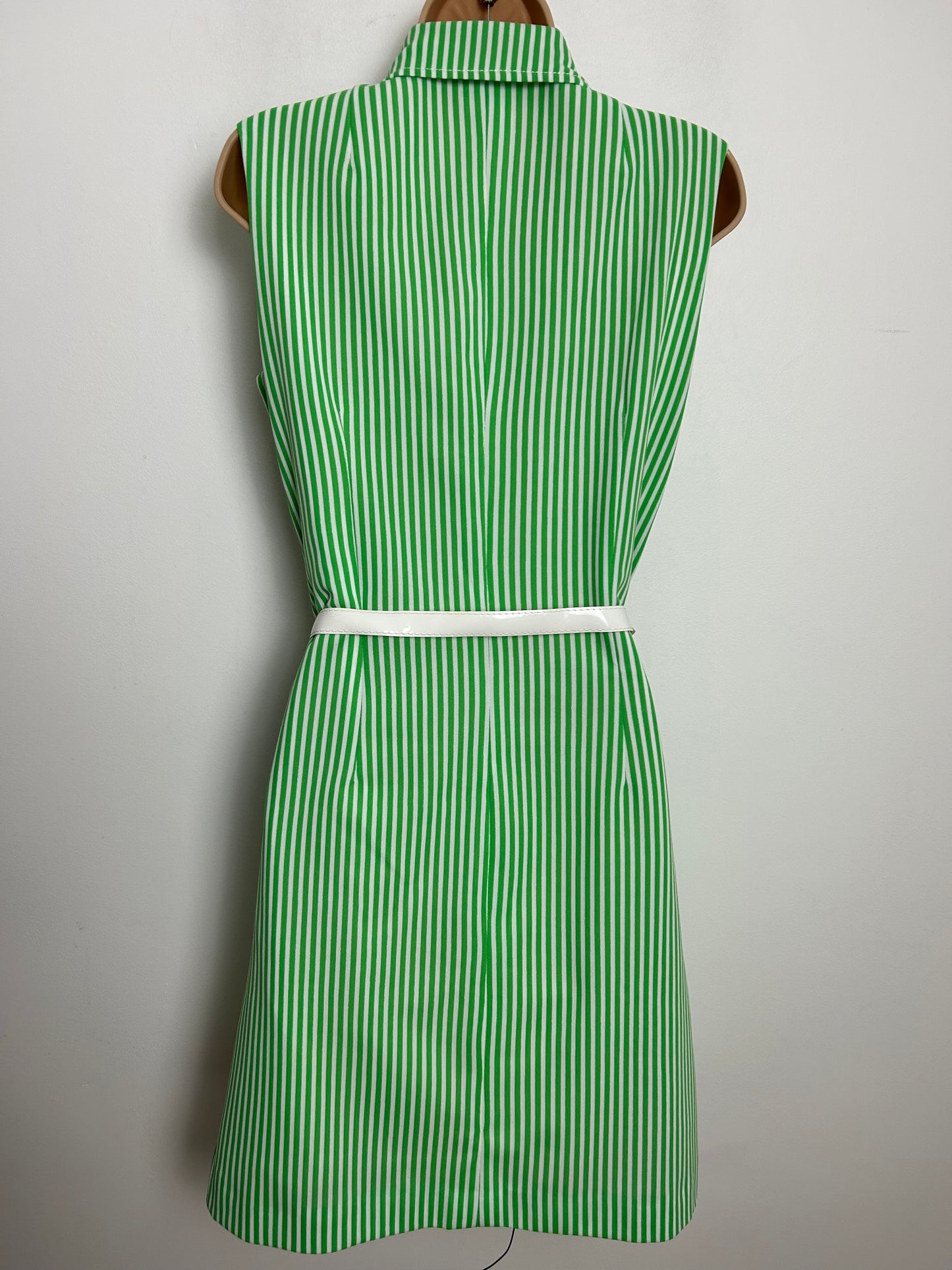 Vintage 1970s Size 10 Green & White Stripe Print Sleeveless Belted Fit & Flare Mod Dress
