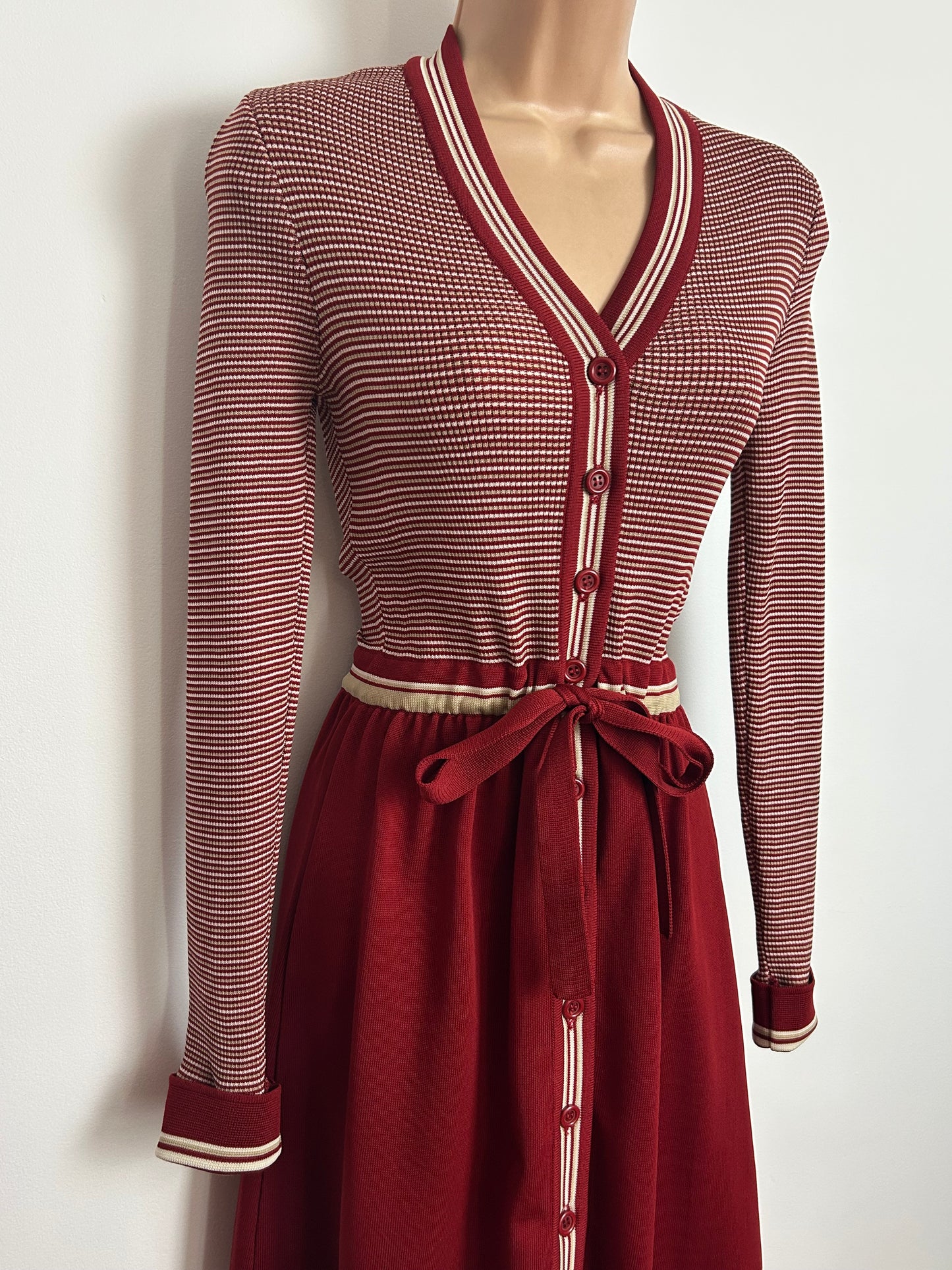 Vintage 1970s Rare GINA ITALIAN SOPHISTICATES Size 8-10 Brick Red & Beige Stripe Print Tie Waisted Dress